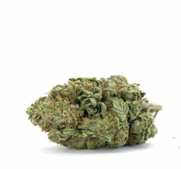 Buy Ace of Haze Weed in the UK