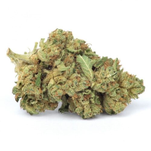 Buy Ace of Haze Weed in the UK - Image 3