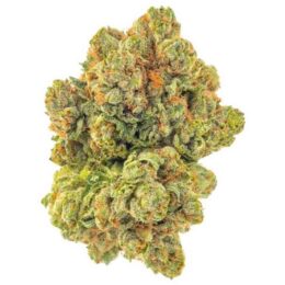 Buy Ace of Haze Weed in the UK