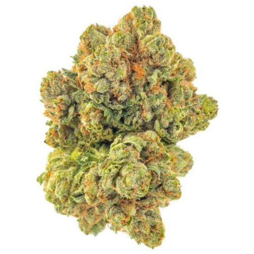 buy-ace-of-haze-weed-in-the-uk