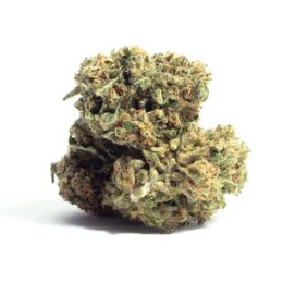 Buy Alien Dawg Weed in the UK