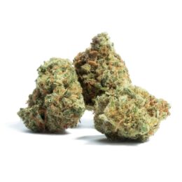 Buy Amnesia Haze Weed in the UK