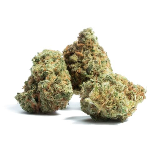 Buy Amnesia Haze Weed in the UK - Image 2