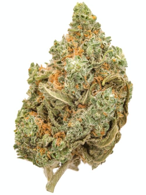 buy-amnesia-haze-weed-in-europe