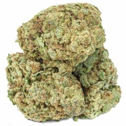 Buy Apple Fritter Weed in the UK