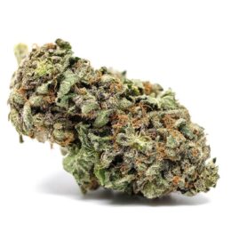 Buy Apple Gelato Weed the UK