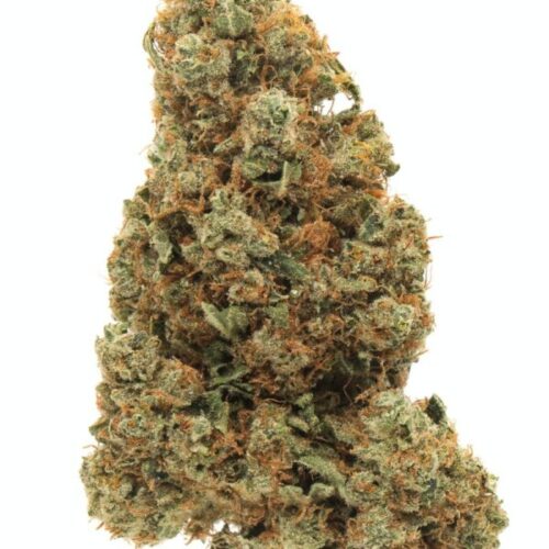 Buy Apricot Gelato Weed in the UK - Image 2