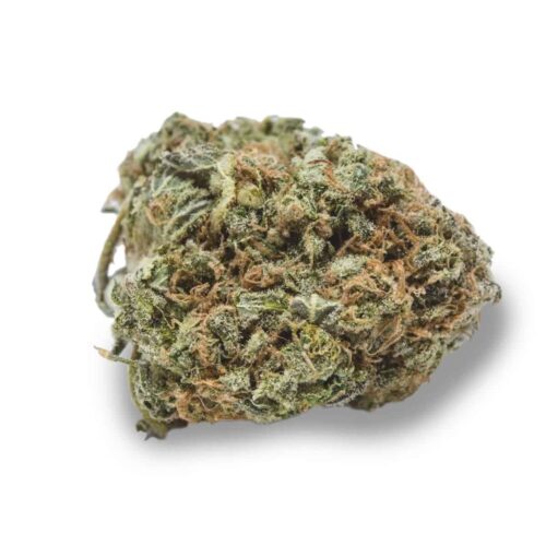 Arjan’s Strawberry Haze marijuana strain - Image 2