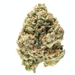 Black Lime Guava Marijuana Strain