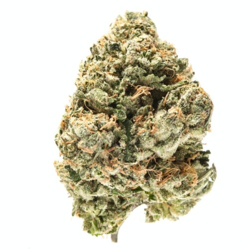 black-lime-guava-marijuana-strain