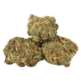 Black Lime Guava Marijuana Strain