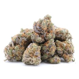 Black Mamba Cannabis Strain