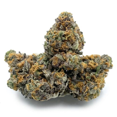 Blue Gelato Cannabis Strain - Image 2