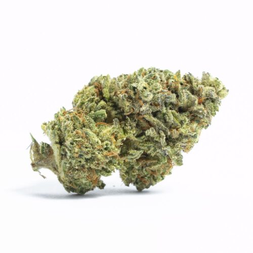 cakewalk-weed-strain