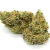 cherry-pie-weed-strain