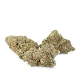 Citrus Punch Marijuana Strain