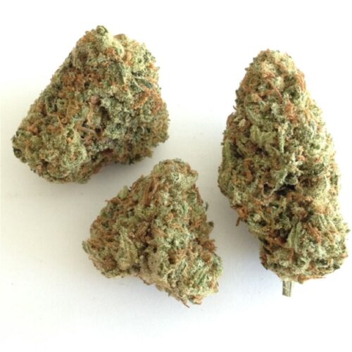 Citrus Punch Marijuana Strain - Image 2