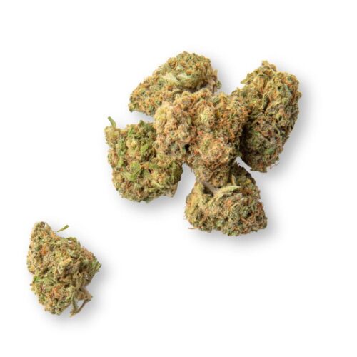 Colorado Creamsicle Weed Strain - Image 2