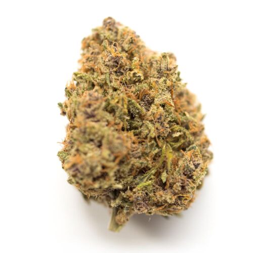 critical-mass-og-cannabis-strain