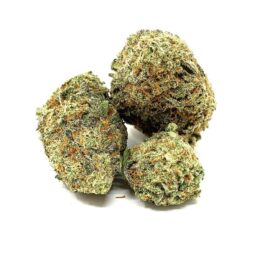 Dirty Sprite Breath Weed Strain