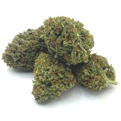 Dirty Sprite Breath Weed Strain - Image 2