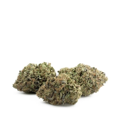 El Chapo OG Cannabis Strain - Image 2