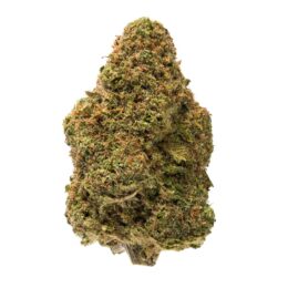 Fantasy Island Marijuana Strain