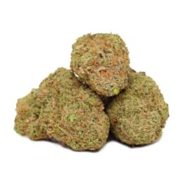 Fantasy Island Marijuana Strain