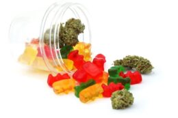 Flavored Gummy Bears Pack 300MG (5 x 60MG)