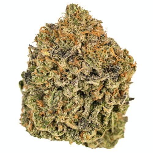 French Cookies Marijuana Strain - Image 2