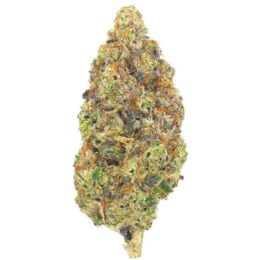 Ghost Dawg Weed Strain