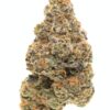 Girl Scout Cookies Weed Strain
