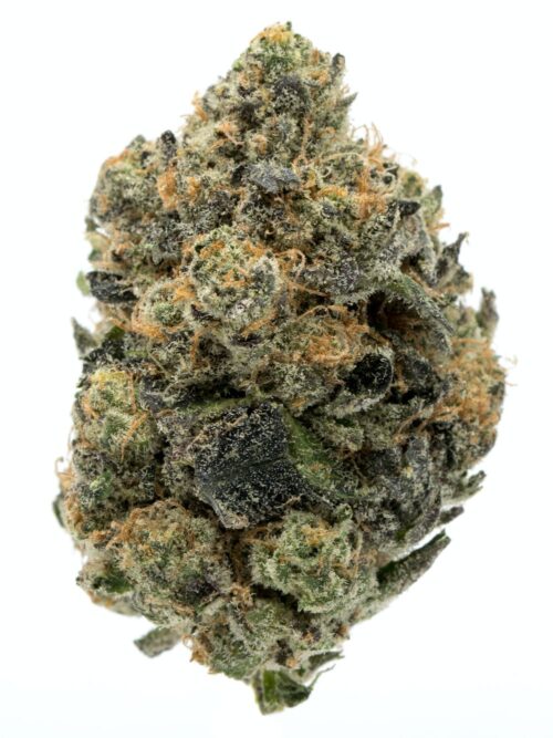 Girl Scout Cookies Weed Strain - Image 2