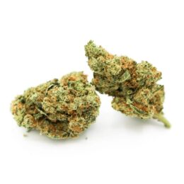 Gorilla Zkittlez Weed Strain