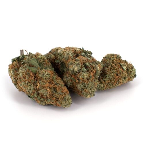 Grand Master Kush Weed Strain - Image 2