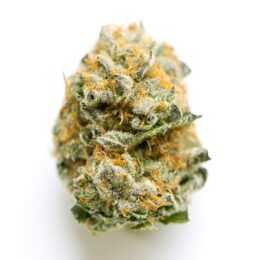 Grapefruit Marijuana Strain