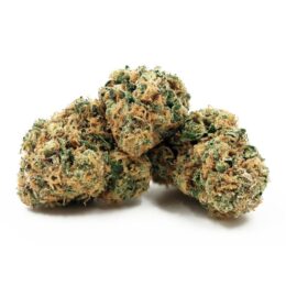 Grapefruit Marijuana Strain