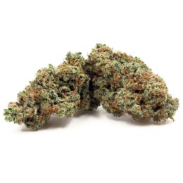 Green Lantern Marijuana Strain