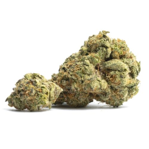 L.S.D. Marijuana Strain - Image 2