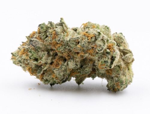 lemon-cane-weed-strain