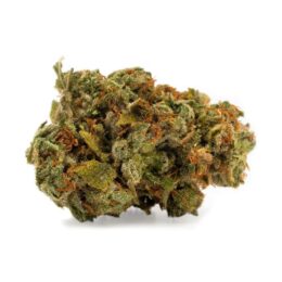 Lemon Skunk Weed Strain