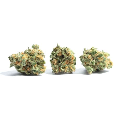 Lemon Sweet Skunk Weed Strain - Image 2