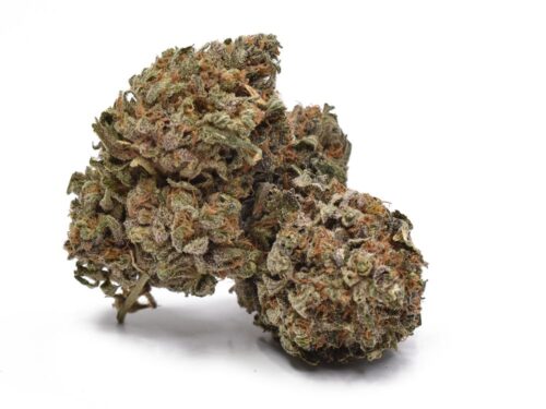 Lemon Tree Marijuana - Image 2