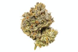 Mimosa Cannabis Strain