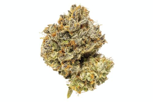 Mimosa Cannabis Strain - Image 2