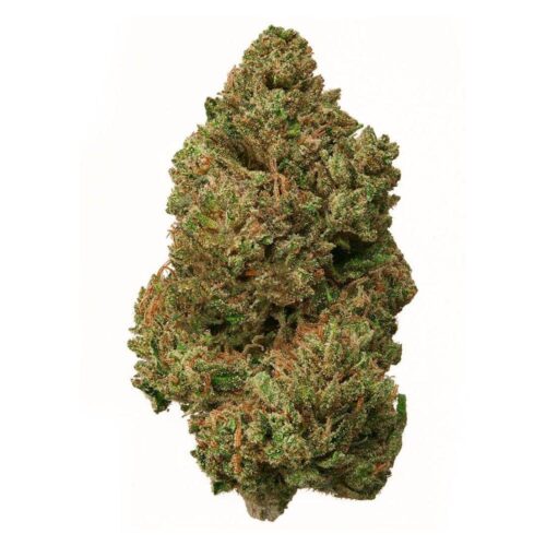 Nirvana Special Weed Strain - Image 2