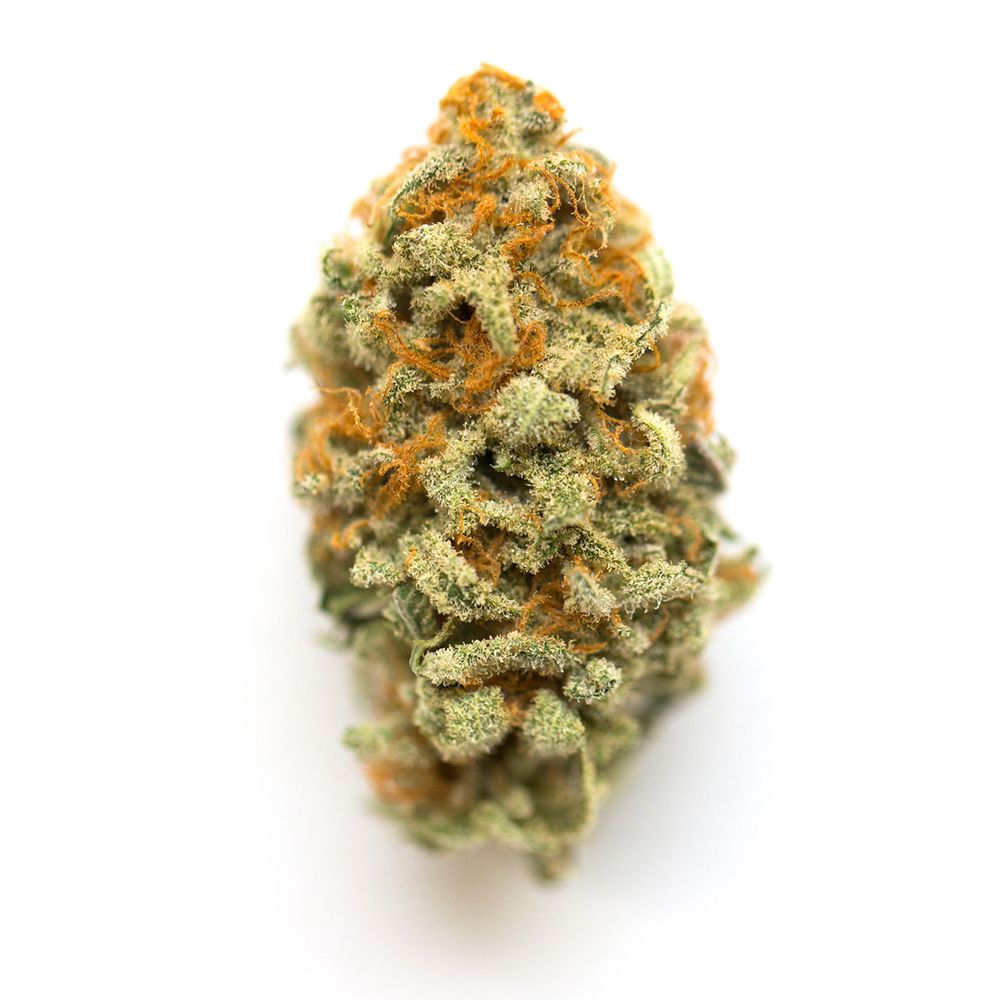 orange-cream-og-marijuana-strain