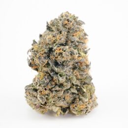 Oreoz Cannabis Strain