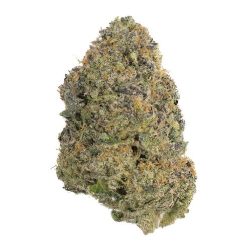 paradise-circus-weed-strain