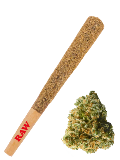 Exotic Pre Rolls Joints Bundle - Image 6